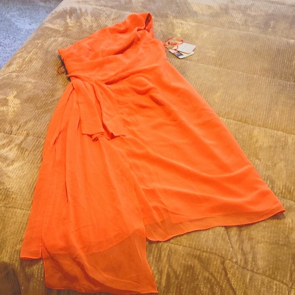 Alberta Ferretti Dresses & Skirts - Midi Dress